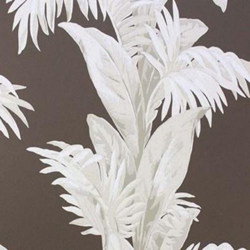 Palmetto Chocolate-Stone NCW4274-04